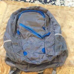 Costco Gray and Blue Backpack